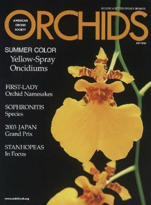 July 2003