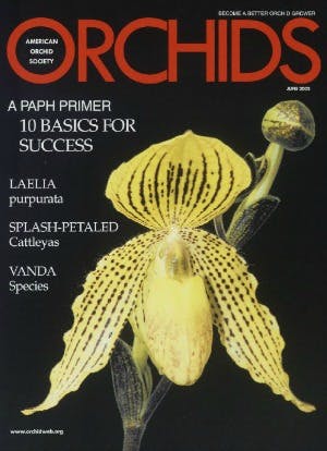 June 2003