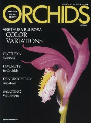 April 2003