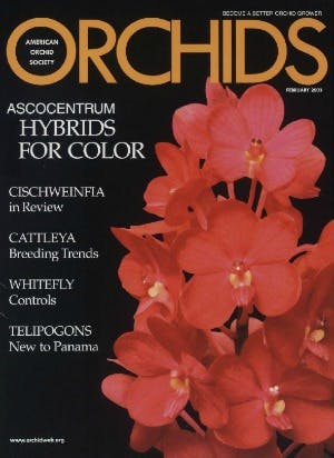 February 2003