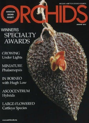 January 2003