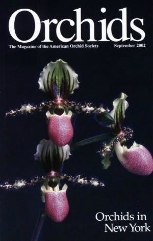 September 2002