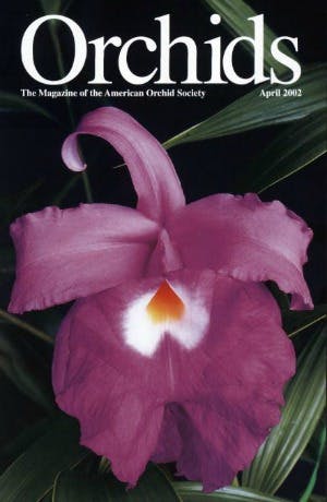 April 2002