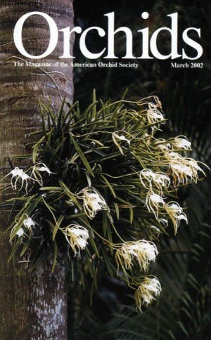 March 2002
