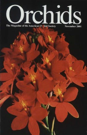 November 2001