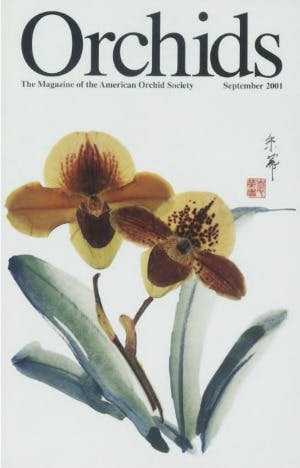 September 2001