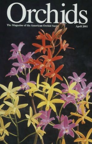 April 2001