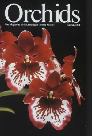 March 2001