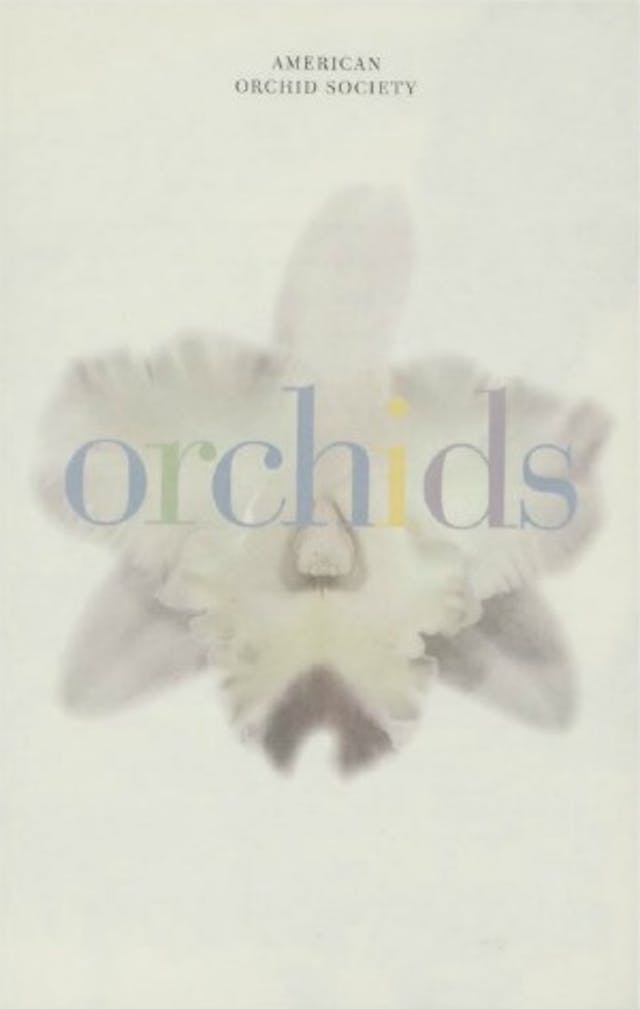  Orchids 1998 