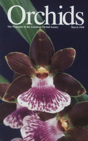 March 1998
