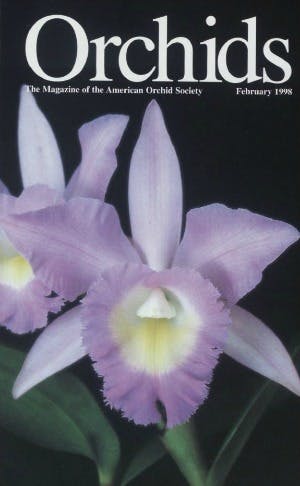 February 1998