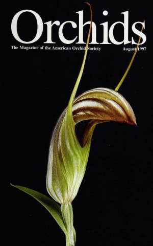 August 1997