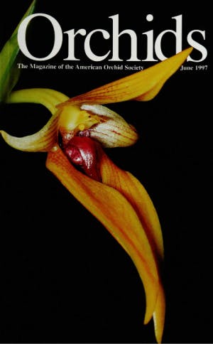June 1997