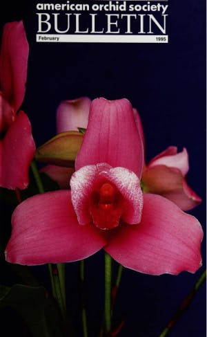 February 1995