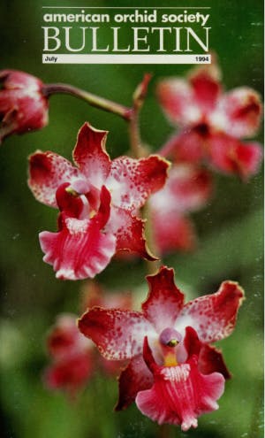 July 1994