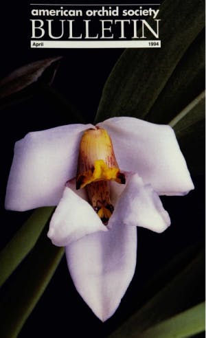 April 1994