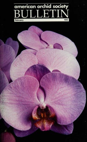 February 1993