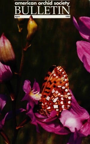 April 1992