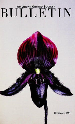 September 1991