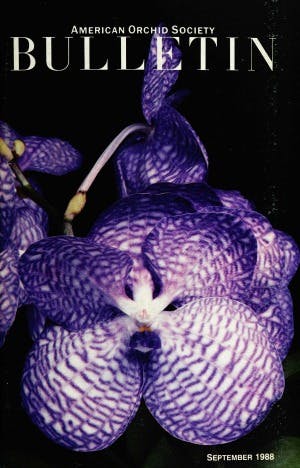 September 1988