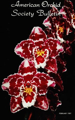 February 1987