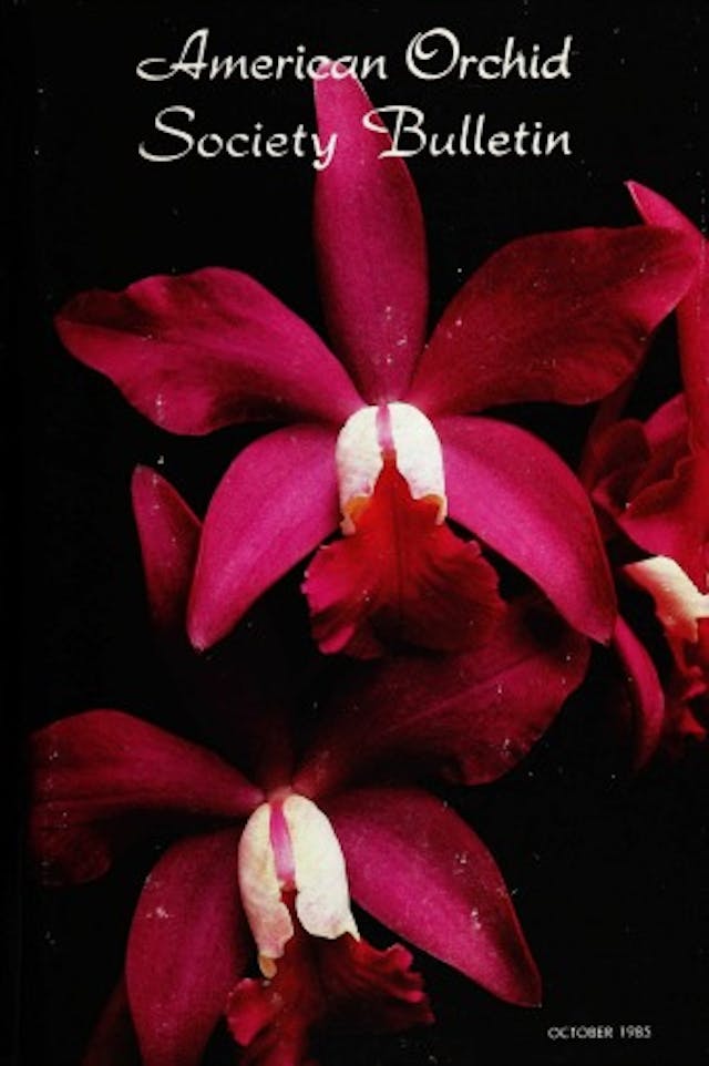 October 1985 - American Orchid Society