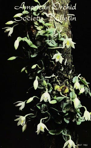 May 1982