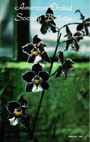 February 1980