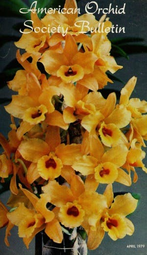 April 1979