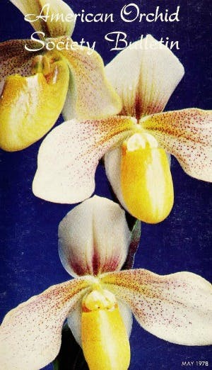 May 1978