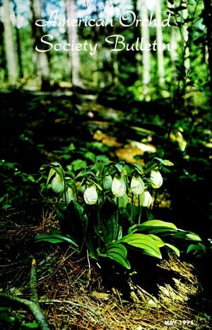 May 1975