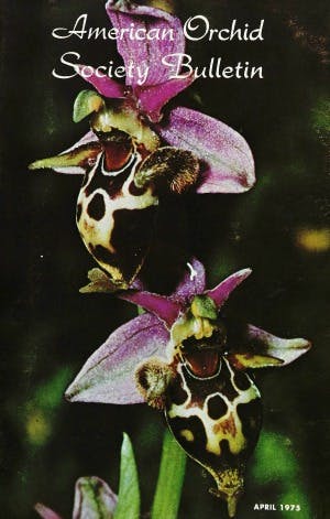 April 1975