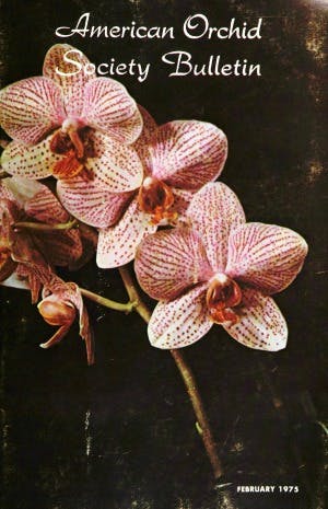 February 1975
