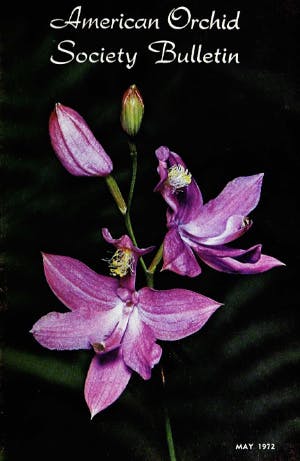 May 1972
