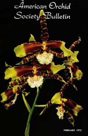 February 1972