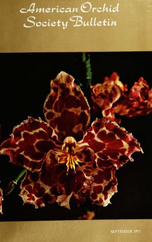 September 1971