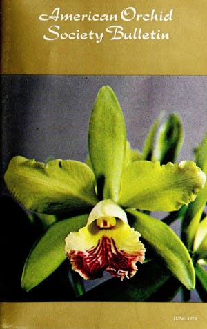 June 1971