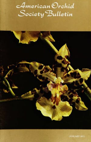 January 1971