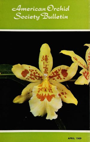 April 1969