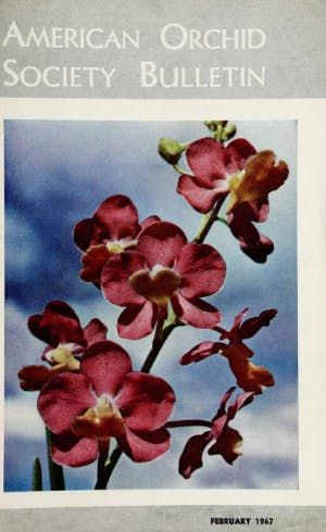 February 1967