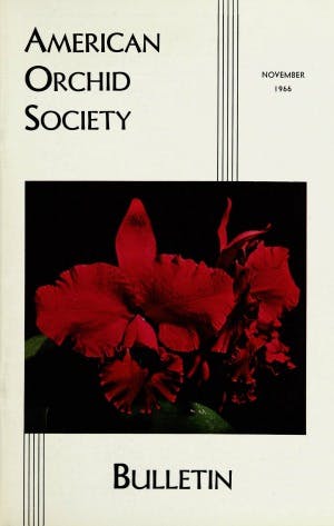November 1966