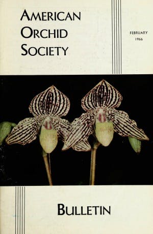 February 1966