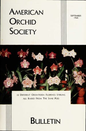 September 1965