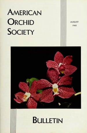 August 1965
