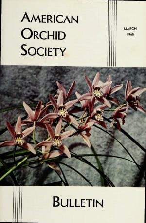 March 1965