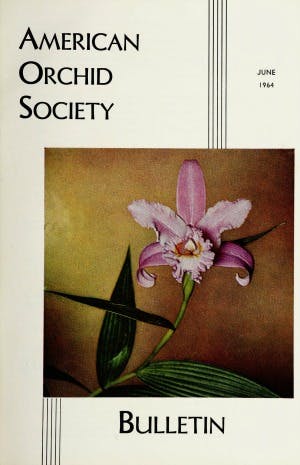 June 1964