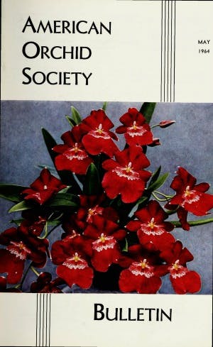 May 1964