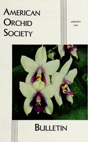 January 1964