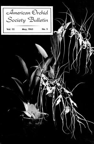 May 1963