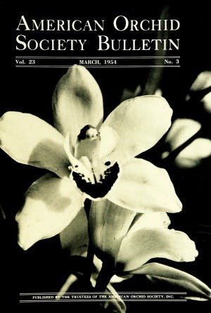 March 1961